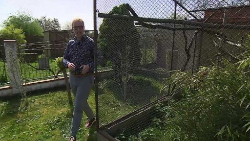 Domácí chov exotických zvířat