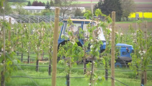 Do hor se vrátila zima