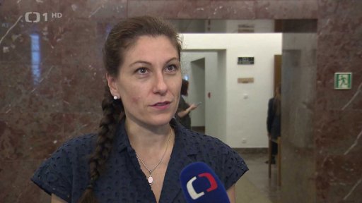 Pavel kritizoval kampaň SPOLU i výroky Babiše