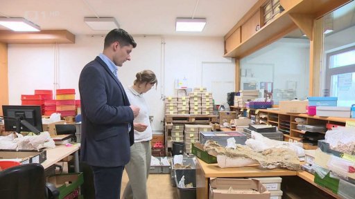 Nález kostí mamutů v Gobelsburgu