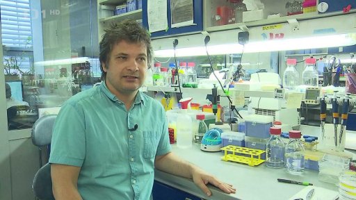 Studie k černému kašli