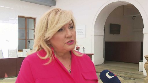 Politické reakce na neštěstí