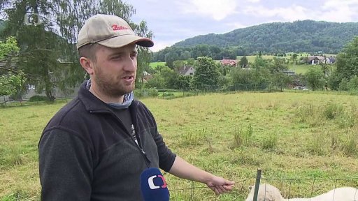 Deštivé počasí na polích