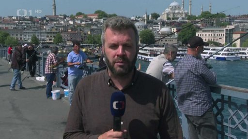 Pouliční psi v Turecku