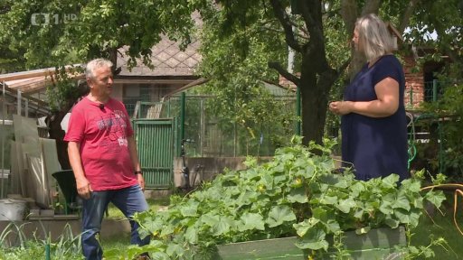 Úroda poničená počasím