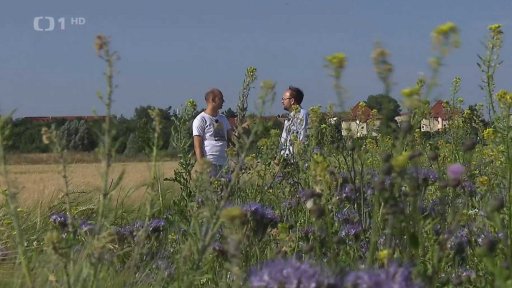 Obnova přírodní krajiny