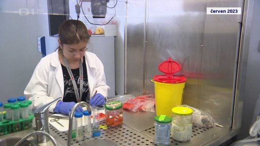 Sbírka žáků na výzkum genetické choroby