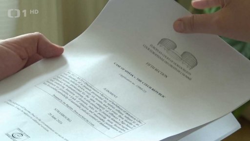 Lhůta pro přezkoumání vazby