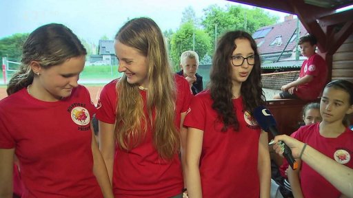 Sokol v proměnách času