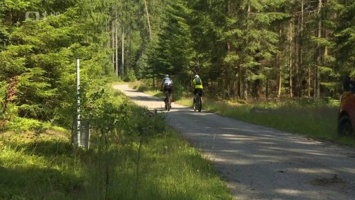 Škody po bouřkách v lesích