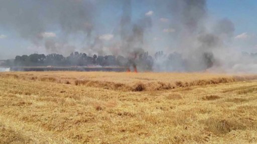 Požár vzrostlého pole u Terezína na Hodonínsku