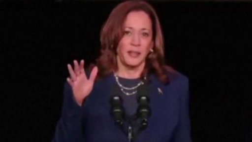 Hlasování demokratů o kandidatuře K. Harrisové