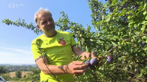 Moštování letošní úrody