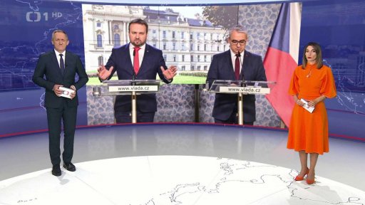 Platy ve veřejné sféře