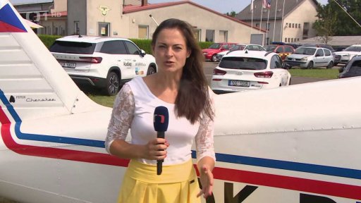 Letecké požární hlídky