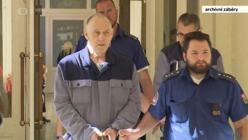 Propuštění Vladimíra Dbalého