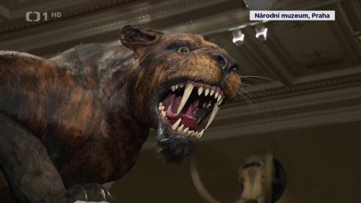 Malovaný pravěk v knize