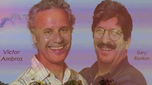 Nobelovka za zdravotnictví