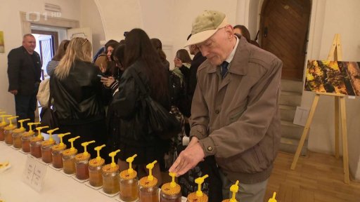 Produkce a zásoby medu