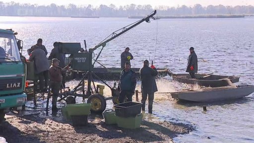 Výlov rybníka Bezruč