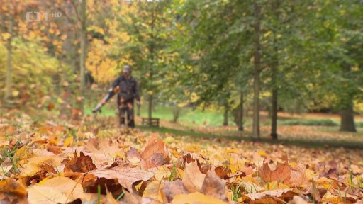Úklid spadaného listí