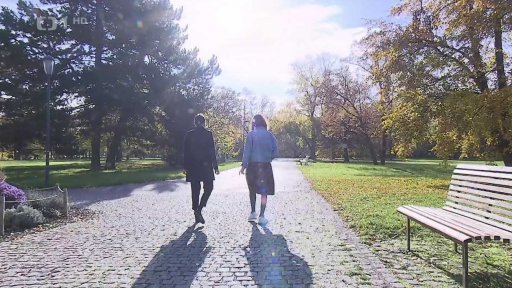 Prevence a léčba mrtvice