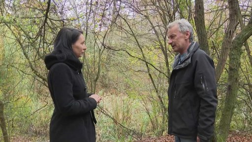 Potkani jako přenašeči nákaz