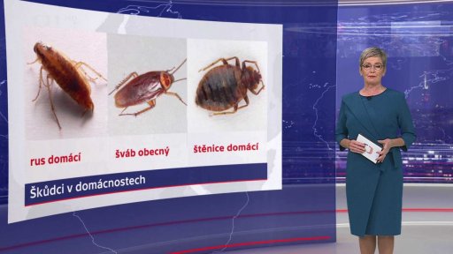 Škůdci v domácnostech