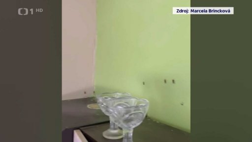 Štěnice a švábi v bytech a domech