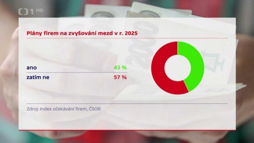 Plány firem na zvyšování mezd v r. 2025