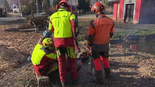 Studenti lesnictví pomáhají po povodních