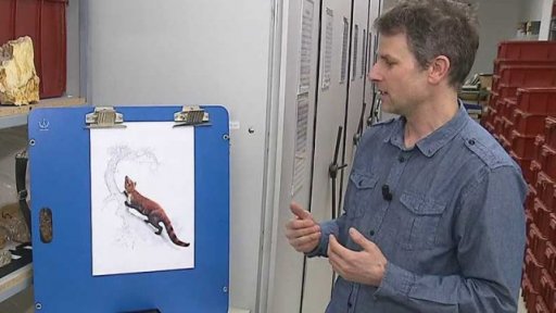 Unikátní objev českých vědců