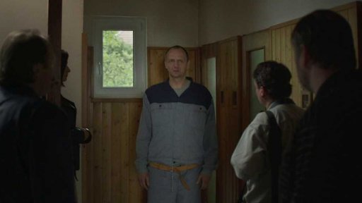 Film o Stodolových míří do kin