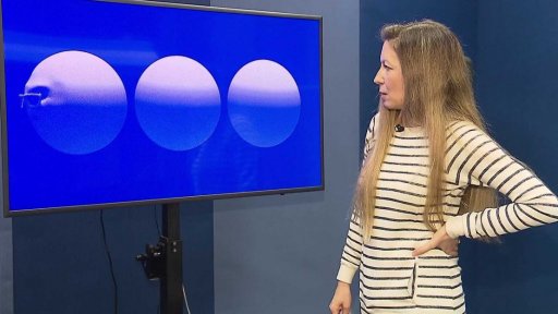 Jak vznikají nominační medailonky k ceně Litera