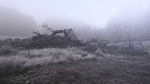 Fotky krajiny Králického Sněžníku