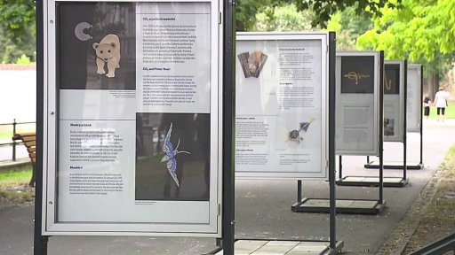 Brož jako diplomatické gesto