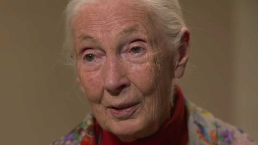 Život a objevy legendární vědkyně