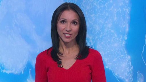 Zpravodajský servis