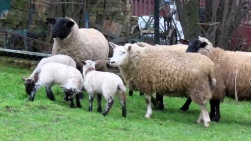 Týden očima iReportéra