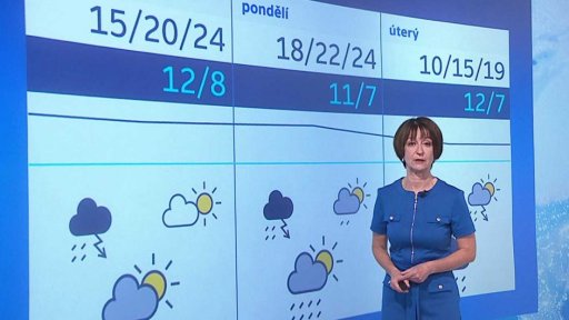 Zpravodajský servis