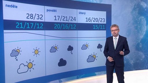 Zpravodajský servis