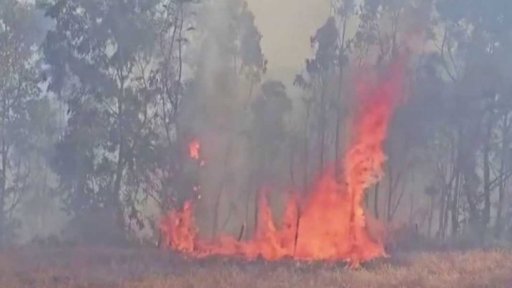 Zpravodajský servis