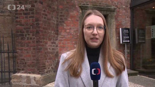 Zpravodajský servis