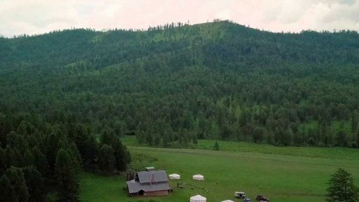 Čeští vědci pomáhají s ochranou lesů v Mongolsku