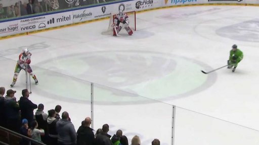 Zpravodajský servis