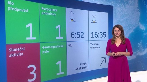 Zpravodajský servis