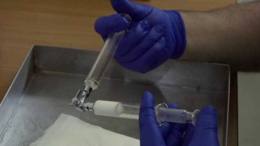 Koně pomáhají při výrobě hadího protijedu