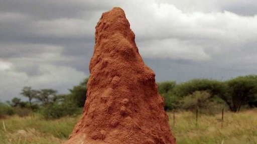 Termitiště jako inspirace pro architekturu