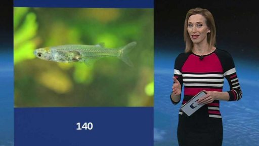 Zajímavé údaje dne