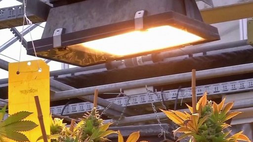 Konopné spolky v Německu už brzy realitou